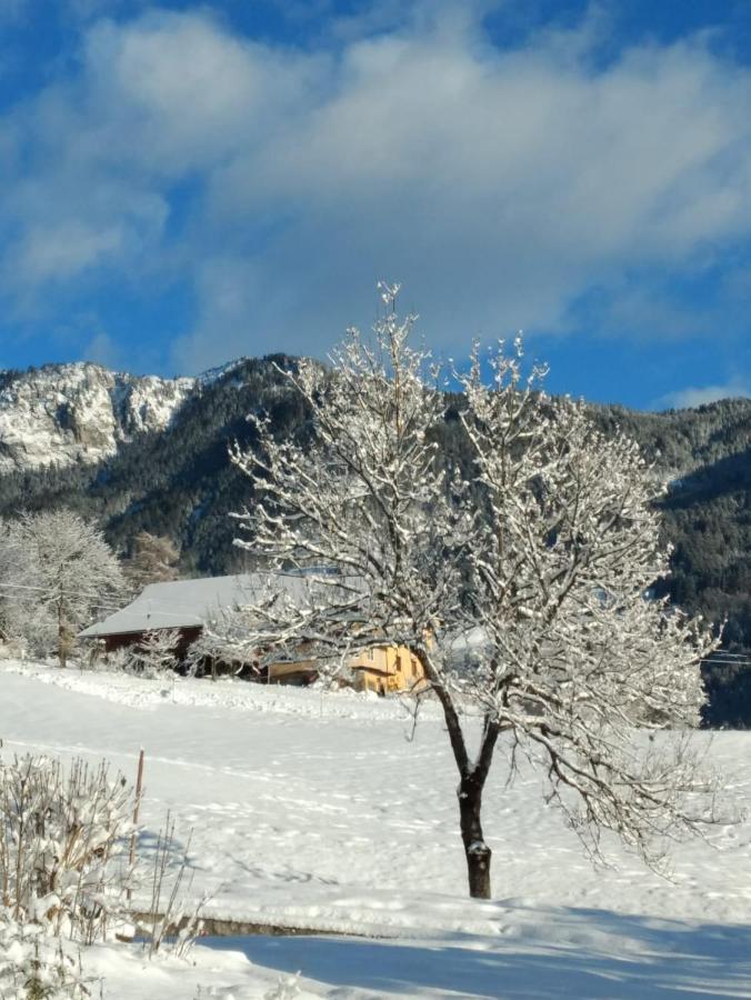 Apartment Gailtal Panorama